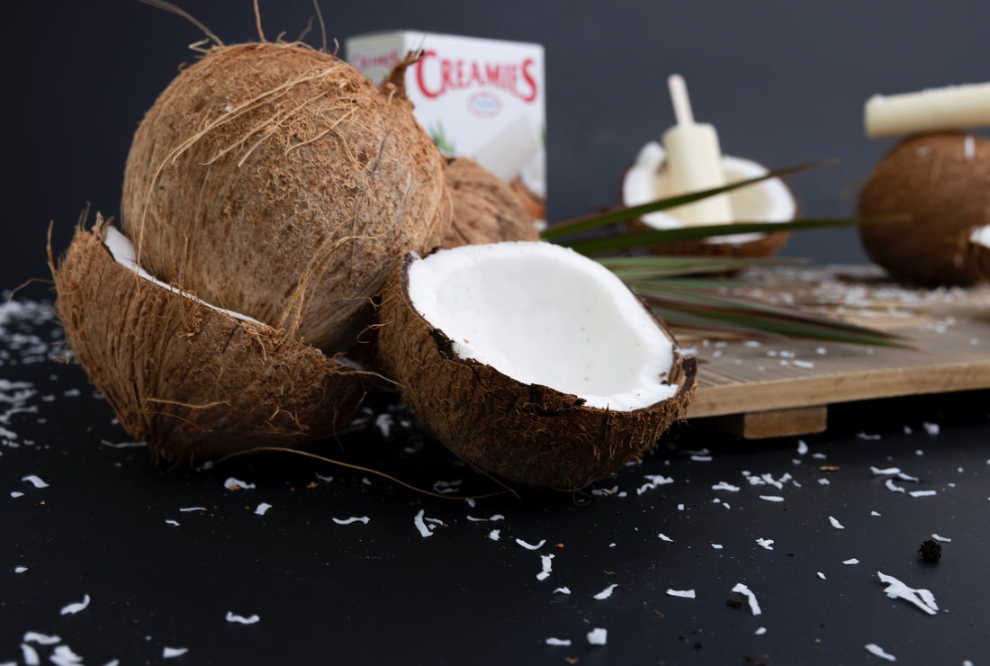 HOW TO GET QUALITY COCONUT ICE CREAM BARS DELIVERED DIRECTLY TO YOUR DOORSTEP