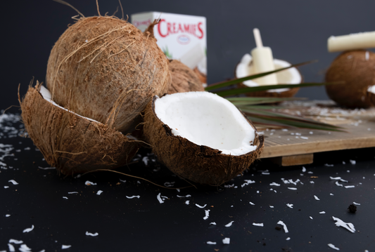 HOW TO GET QUALITY COCONUT ICE CREAM BARS DELIVERED DIRECTLY TO YOUR DOORSTEP